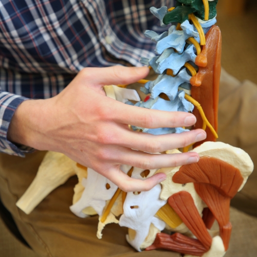 renue-physical-therapy-treats-scoliosis